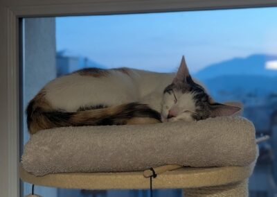 Malina – Réservée