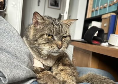 Newton – Visible en famille d’accueil