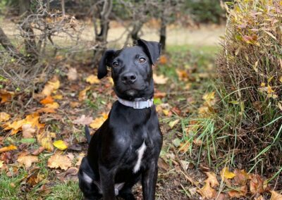 Ninon – Visible en famille d’accueil