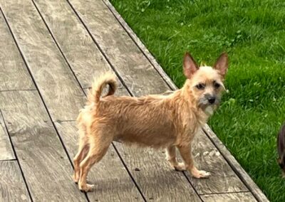 Roxhye – Visible en famille d’accueil