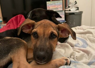 Salma – Visible en famille d&rsquo;accueil