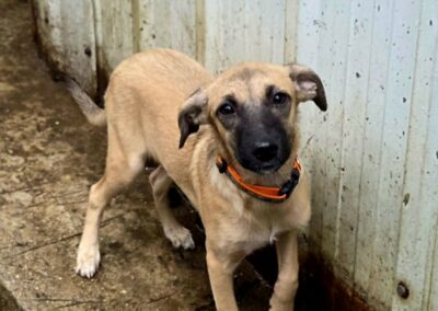 Sandati – Réservée