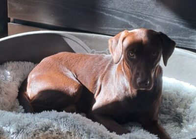 Snack – Visible en famille d’accueil