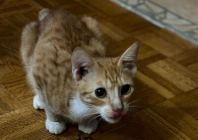 Tic – Visible en famille d’accueil