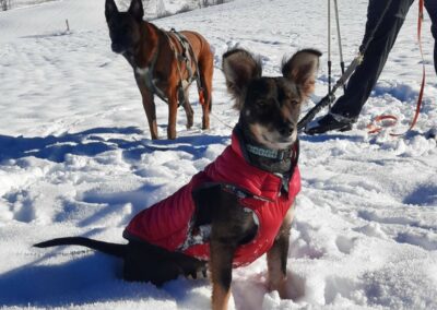 Violette – Visible en famille d&rsquo;accueil