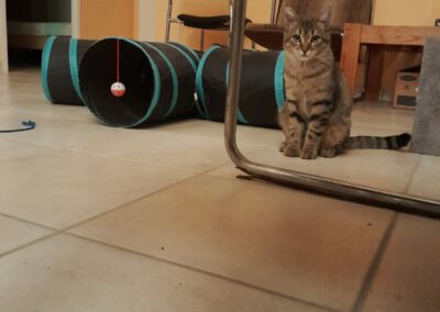 Swilly – réservée