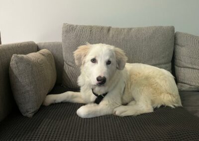 Bella – Adoptée en Décembre 2025