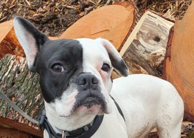 Bisou – Réservée