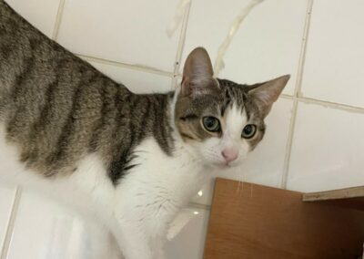 César – Réservé