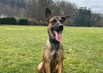 Hazul – Visible en famille d&rsquo;accueil