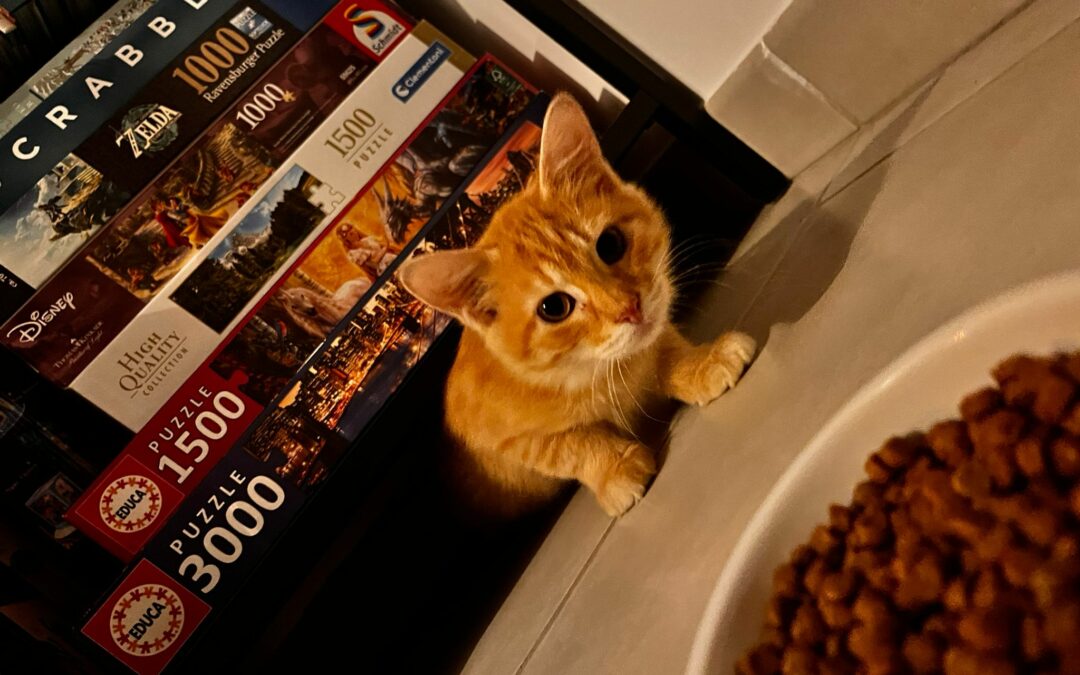 Helden – Adoptée en Janvier 2026