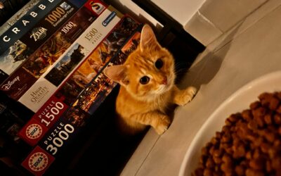 Helden – Adoptée en Janvier 2026