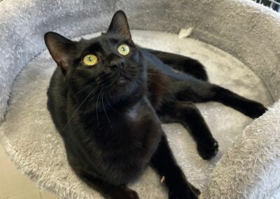 Héra – Réservée