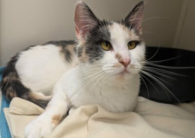 Minettessy – Réservée