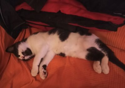 Mafalda – Réservée