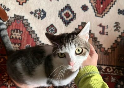 Marvin – Visible en famille d&rsquo;acceuil