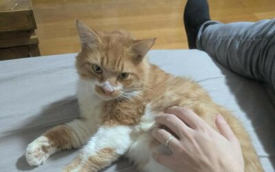 Neel – Visible en famille d’accueil