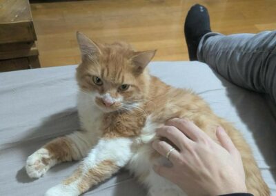 Neel – Visible en famille d&rsquo;accueil