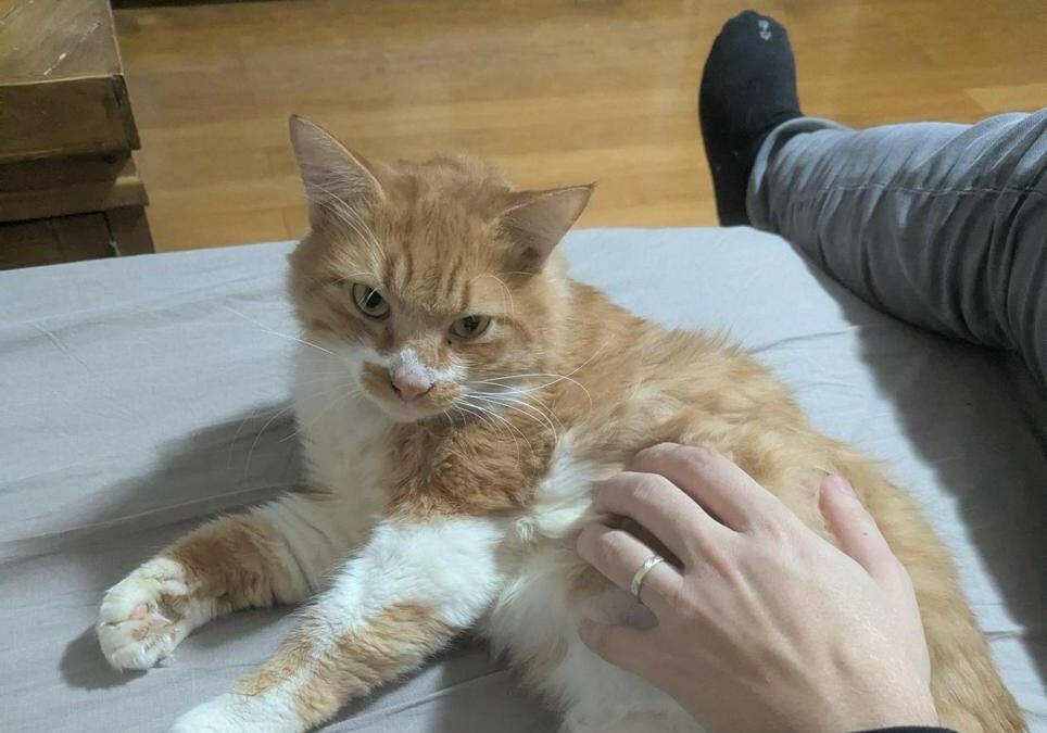 Neel – Visible en famille d’accueil