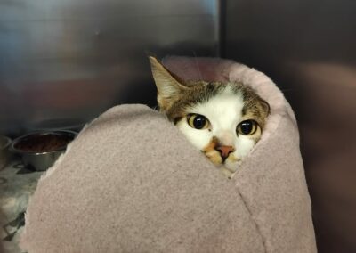 Princesse – Réservée