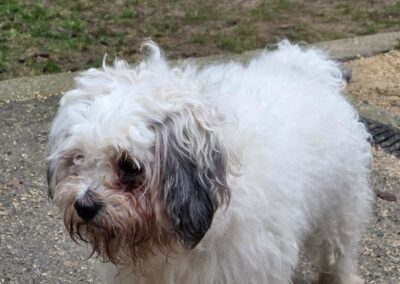 Alexandra – Adoptée en Février 2026