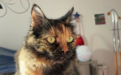 Arielle – Réservée