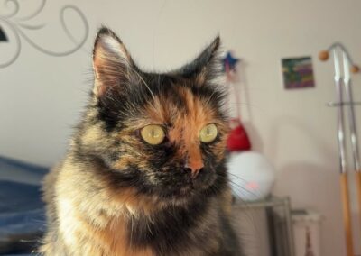 Arielle – Adoptée en Janvier 2026