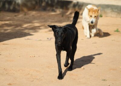 Cachou – Réservée