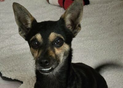 Choupy – Adopté en Février 2026