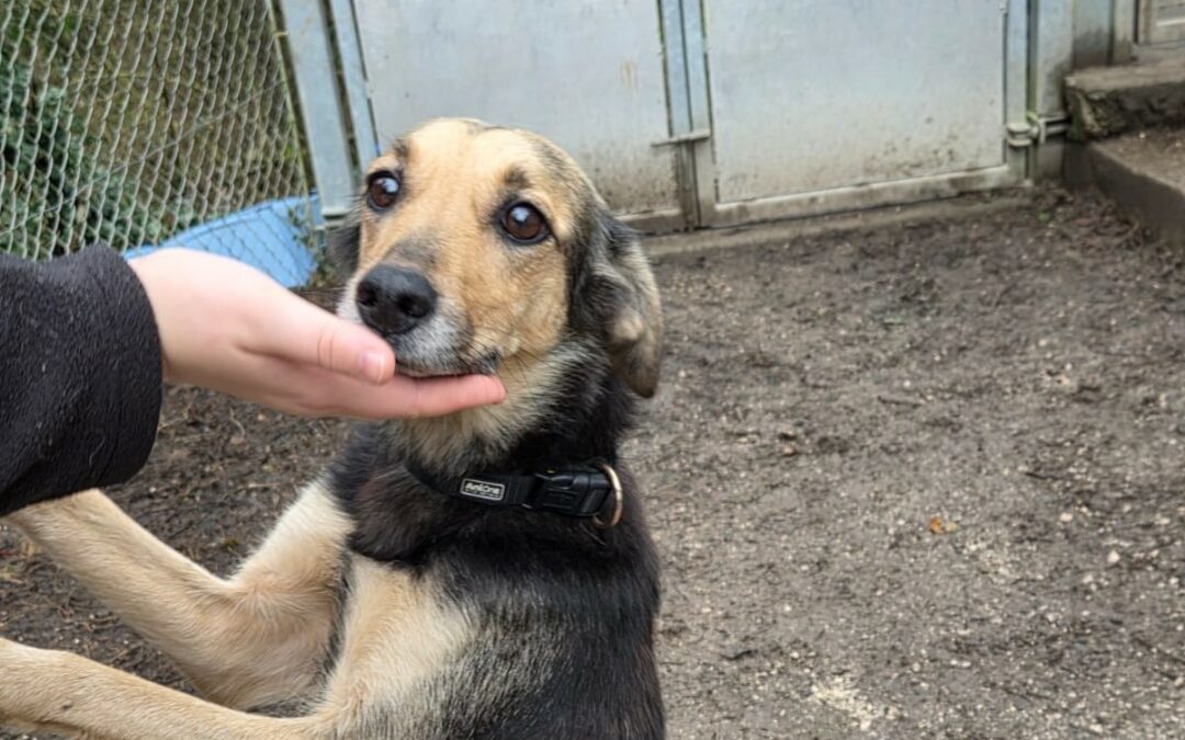 Fortuna – Réservée