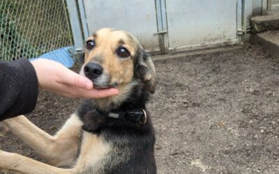 Fortuna – Réservée