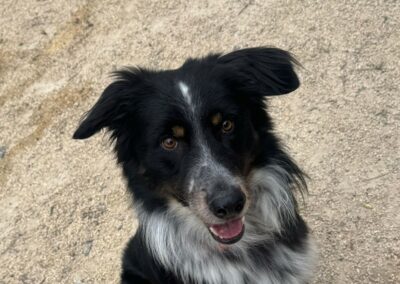 Nahiko – Réservé