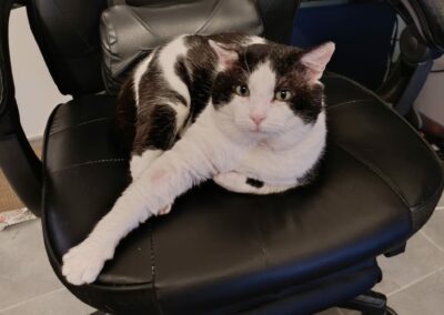 Antonyo – Visible en famille d&rsquo;accueil