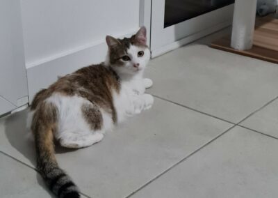 Abricota – Visible en famille d&rsquo;accueil