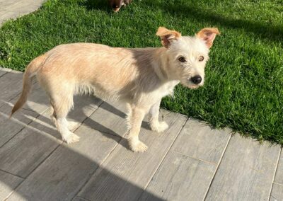 Aiko – Visible en famille d&rsquo;accueil