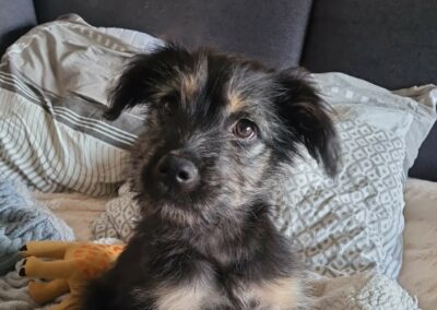 Bahia – Adoptée en Février 2026