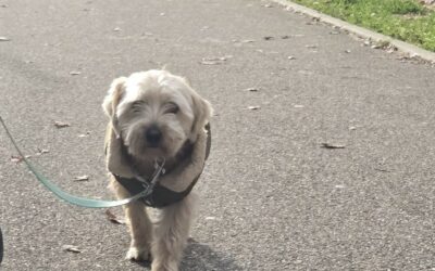 Douky – Visible en famille d&rsquo;accueil