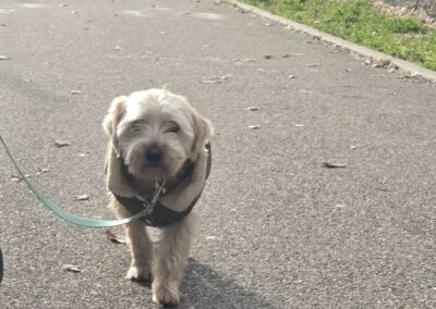 Douky – Adopté en Février 2026