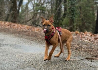 Everest – Réservé