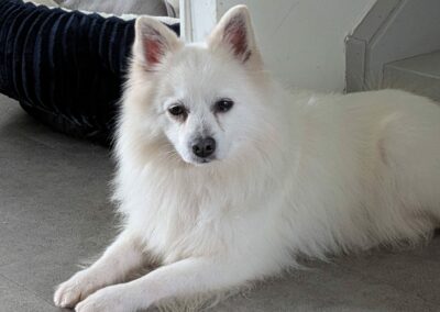 Gaïa – Dossier en cours