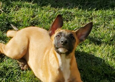 Mya – Adoptée en Février 2026