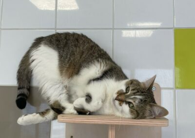 Nalah – Réservée