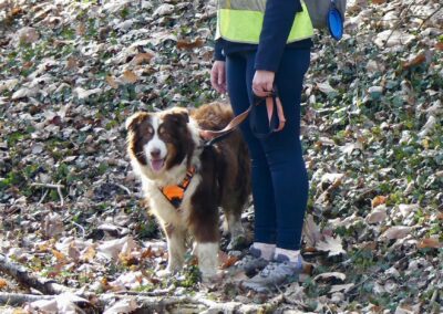 Népal – Dossier en cours