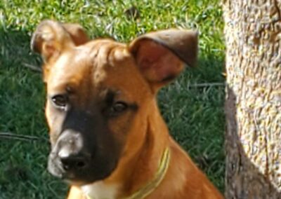 Tissia – Visible en famille d&rsquo;accueil