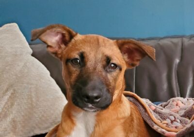 Tissia – Adoptée en Février 2026