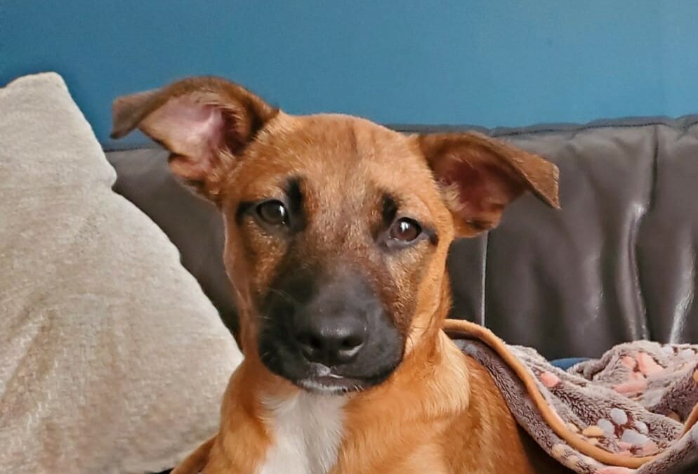 Tissia – Visible en famille d&rsquo;accueil