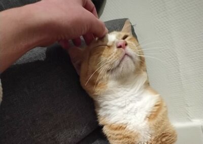 Vick – Visible en famille d&rsquo;accueil