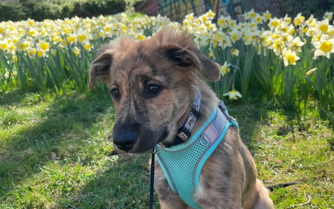 Baiko – Visible en famille d&rsquo;accueil