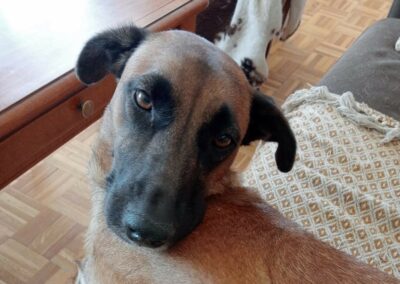 Becky – Visible en famille d&rsquo;accueil