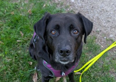 Célestin – Visible en famille d&rsquo;accueil
